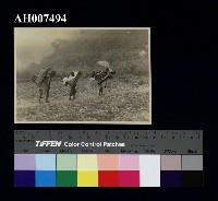 藏品(霧社風俗照片：肩背人貨)的圖片